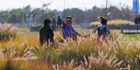 Parque Juan Pablo II, La Cañamera