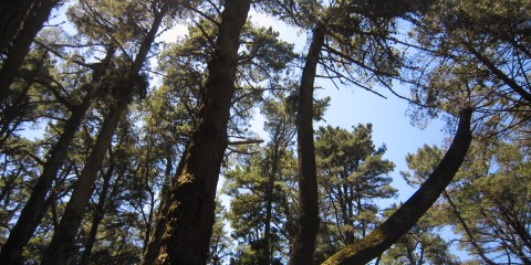 Parque Cerro Caracol