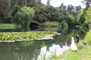 Parque Jardin Botánico