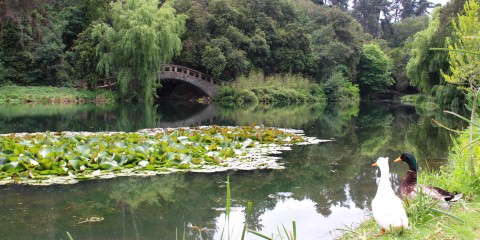 Parque Jardín Botánico