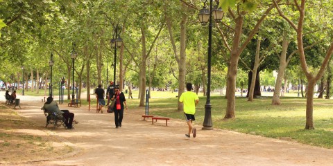 Parque Diego de Almagro