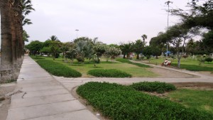 Parque Brasill