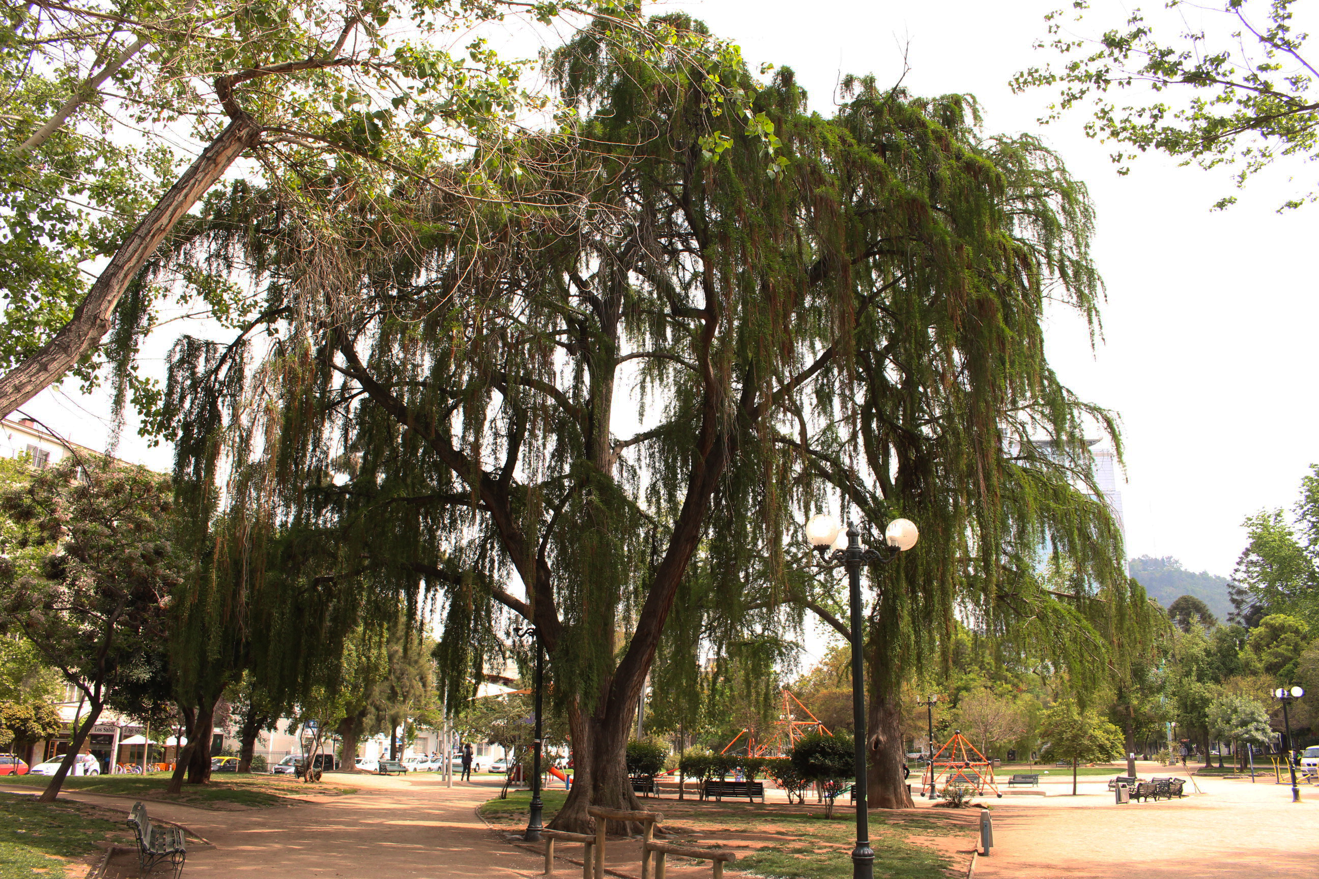 Parque Bustamante