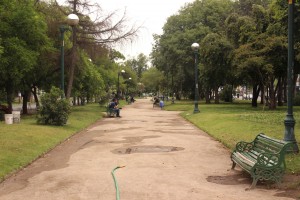 Parque el Llano