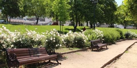 Parque Antonio Rabat